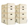 Capital Sports Indefea, sada jerk boxov, drevené boxy, 2 x 5 debien, výška 120 cm Ampera.SK