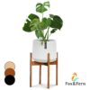 Fox & Fern Zeist, stojan na rastliny, 2 výšky, kombinovateľný, zásuvný dizajn, prírodný Ampera.SK