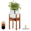 Fox & Fern Zeist, stojan na rastliny, 2 výšky, kombinovateľný, zásuvný dizajn, prírodný Ampera.SK