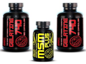 1+1 Zadarmo: Gelatine 740 + MSM od Best Nutrition 250kaps + 250kaps + 120tbl Best Nutrition www.ampera.sk