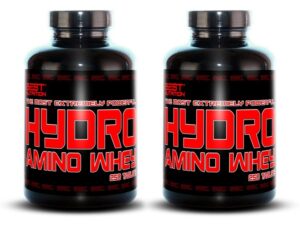 1+1 Zadarmo: Hydro Amino Whey od Best Nutrition 500 tbl. + 500 tbl. Best Nutrition www.ampera.sk