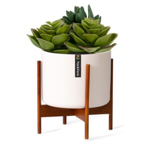 Fox & Fern Thorn, kvetináč, so stojanom, štýl 50. rokov, 2 veľkosti Ampera.SK