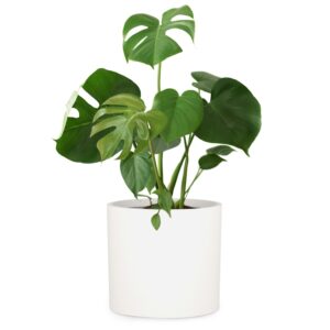 Fox & Fern Venlo, kvetináč, Polystone, interiér a exteriér, 3 veľkosti Ampera.SK