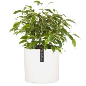 Fox & Fern Venlo, kvetináč, Polystone, interiér a exteriér, 3 veľkosti Ampera.SK