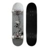 Skateboard MASTER Extreme Board MASTER www.ampera.sk