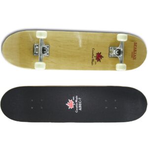 Skateboard SPARTAN Top Board SPARTAN SPORT www.ampera.sk