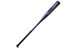 Softball pálka SPARTAN Alu - 34" modrá SPARTAN SPORT www.ampera.sk